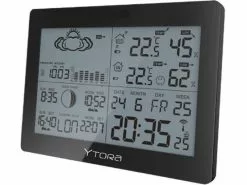 Ytora Wetterstation TPW389