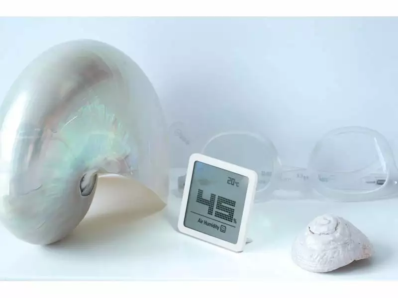 Stadler Form Thermo-/Hygrometer SELINA Little Weiss 4 Stadler Form Thermo-/Hygrometer SELINA Little Weiss – Bild 2