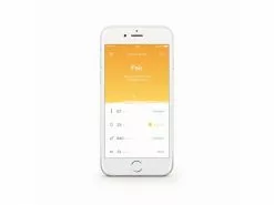 Netatmo Thermo-/Hygrometer Smarter Raumluftsensor -Prüfwerkzeug Verkäufe 52399812 xxl